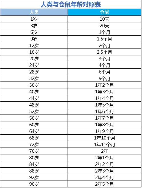 仓鼠的年龄怎么换算成人类的仓鼠步入老年的征兆